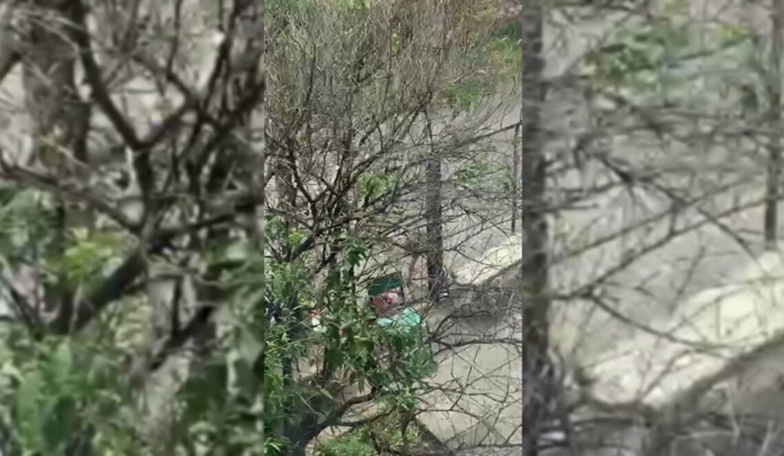 Background ABCTV JWP