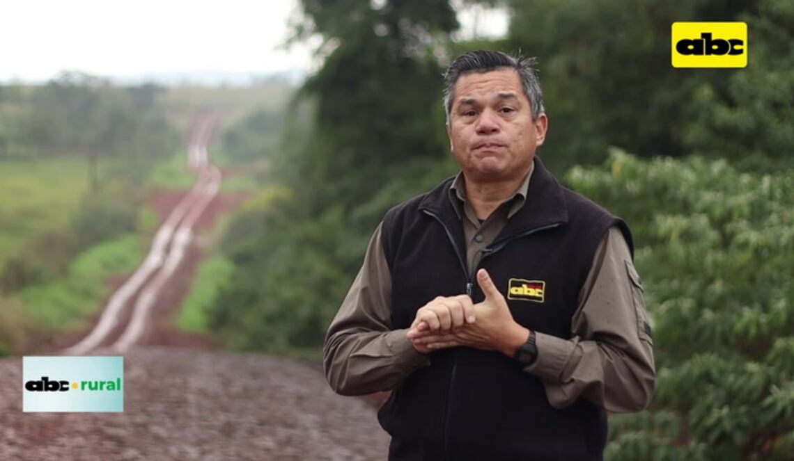 Background ABCTV JWP