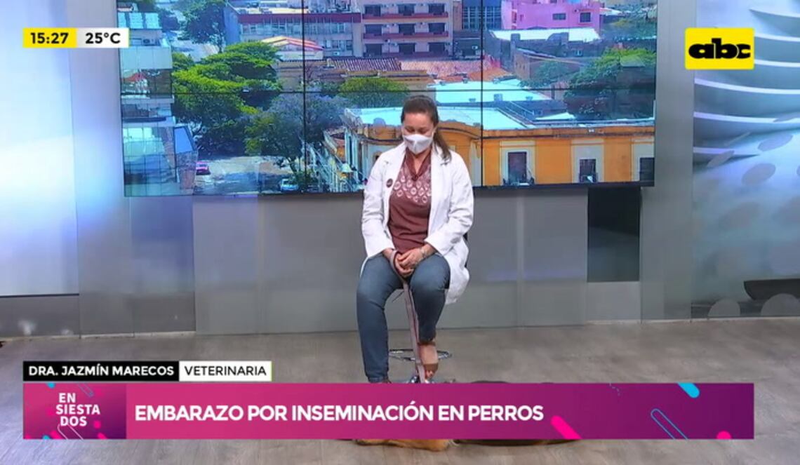 Background ABCTV JWP