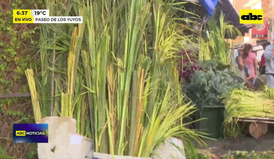 Background ABCTV JWP