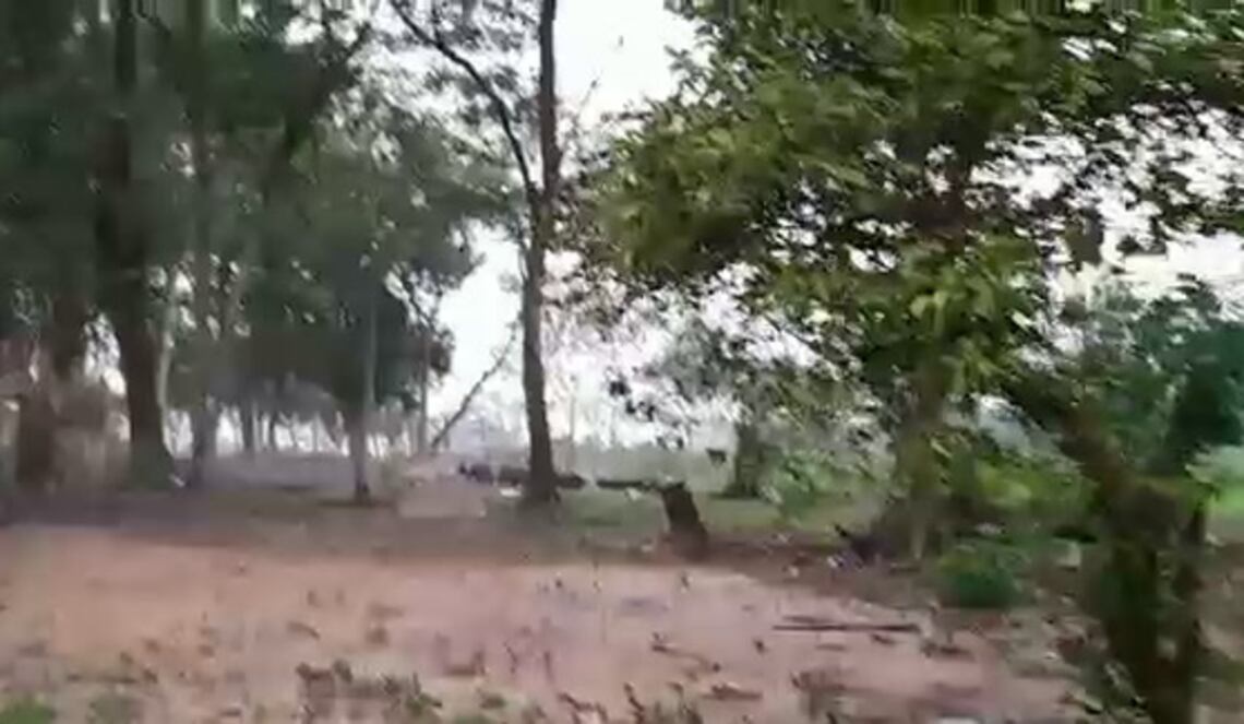 Background ABCTV JWP