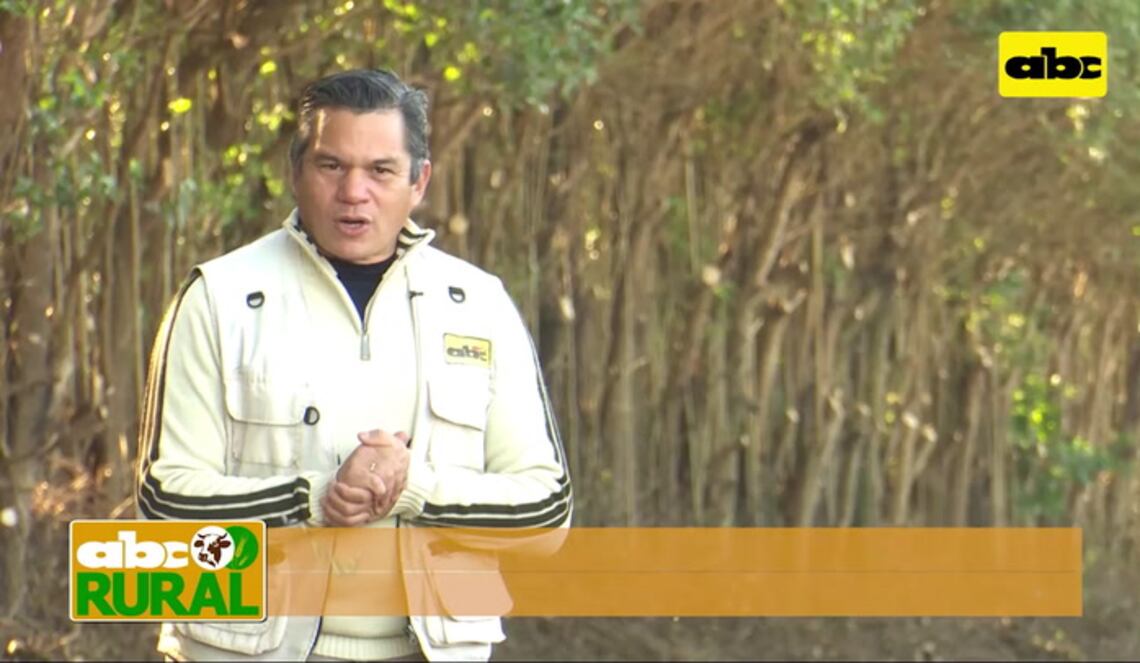 Background ABCTV JWP