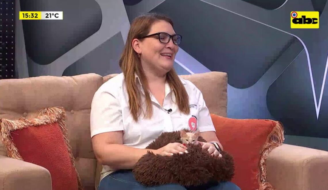 Background ABCTV JWP