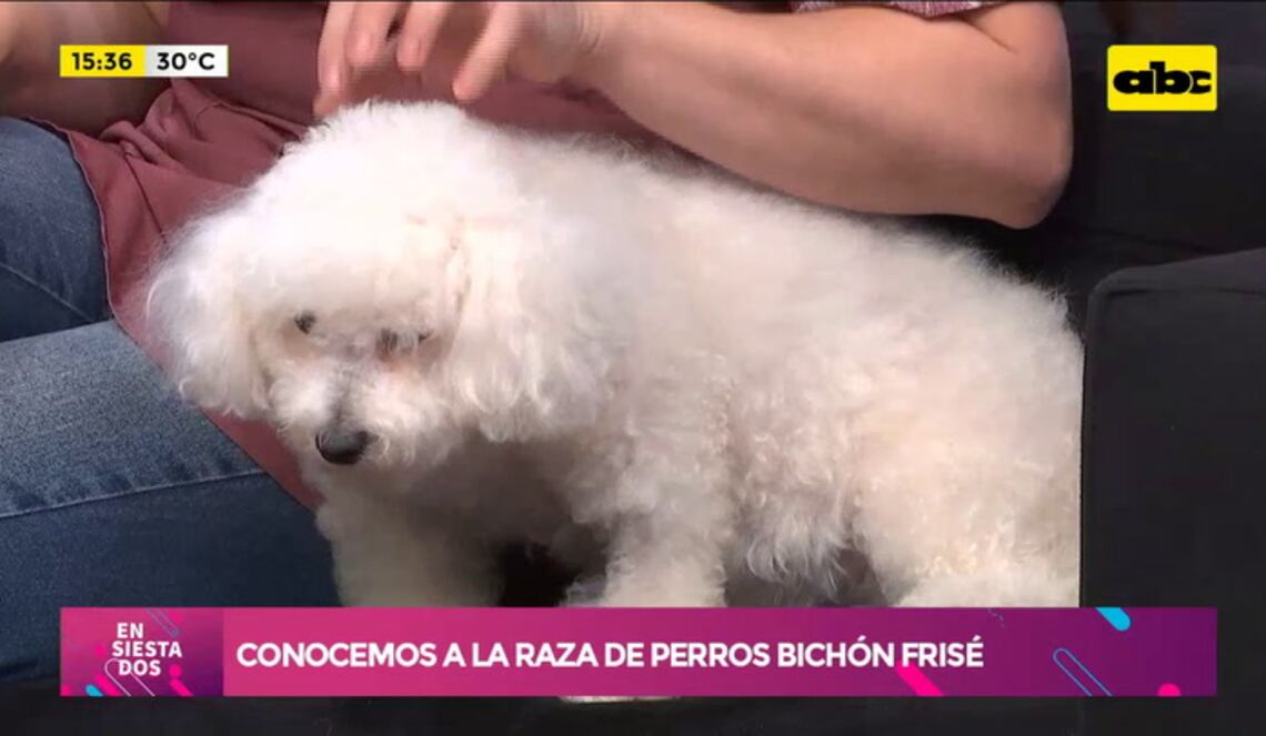 Background ABCTV JWP