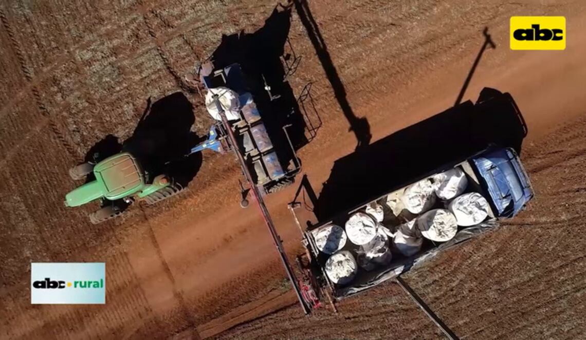 Background ABCTV JWP