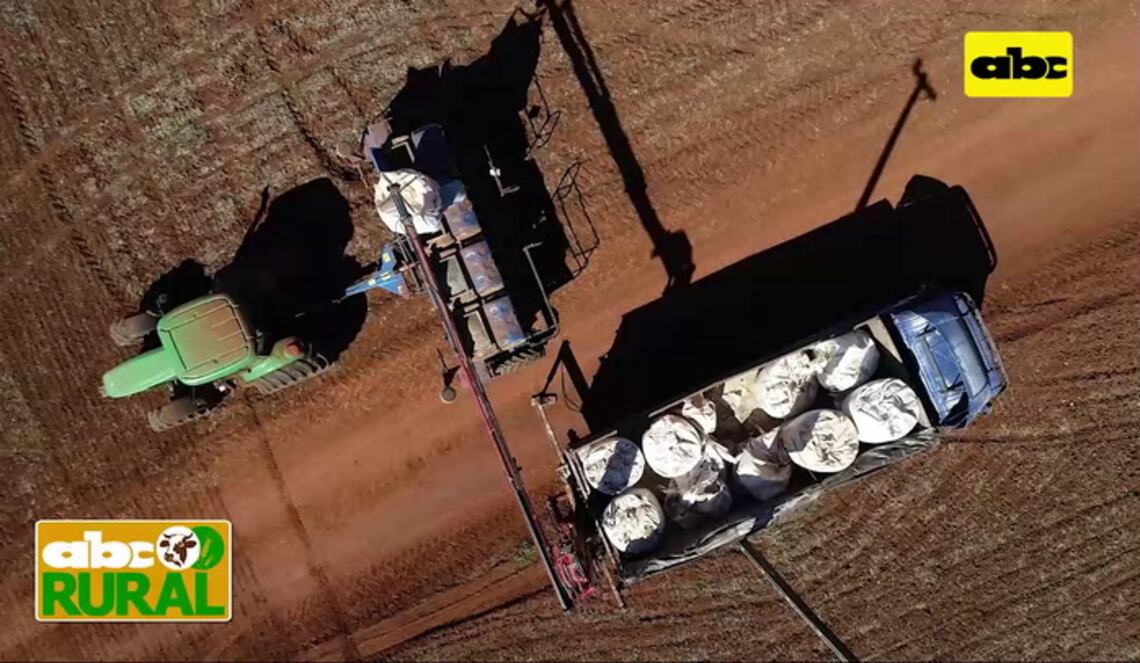 Background ABCTV JWP