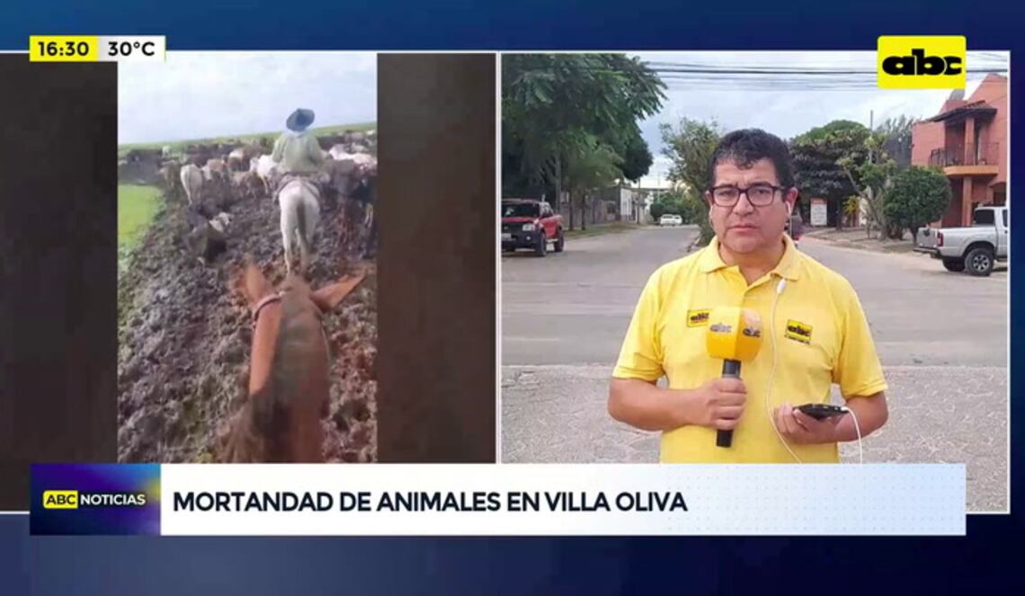 Background ABCTV JWP