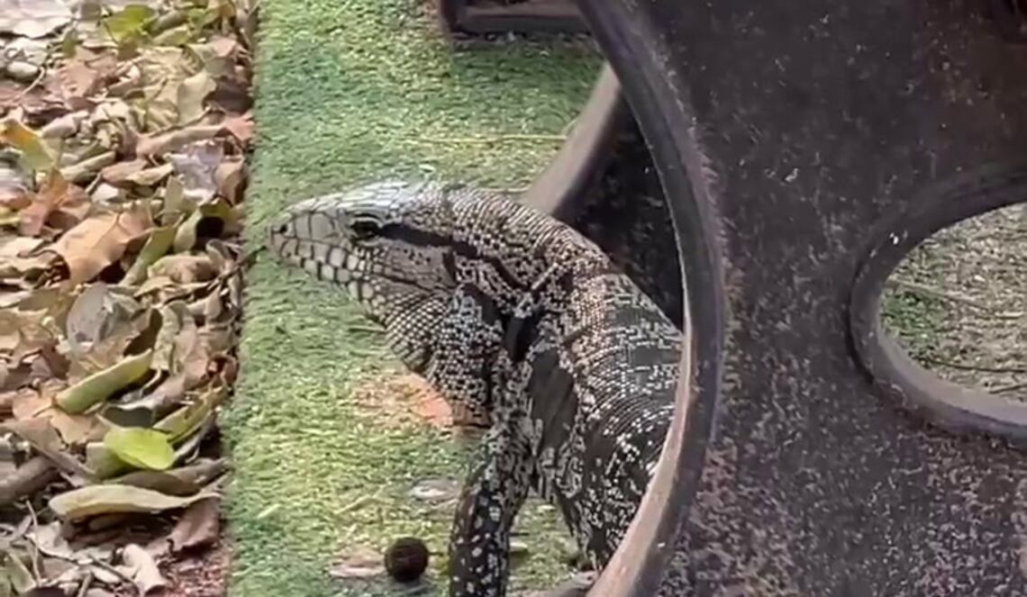 Background ABCTV JWP