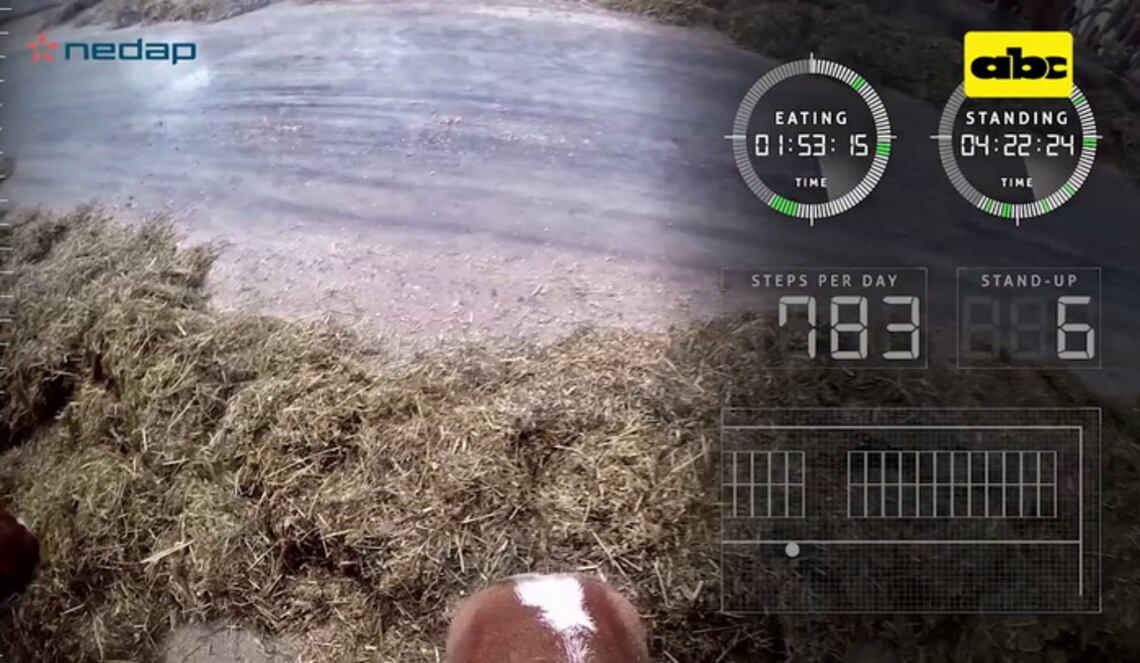 Background ABCTV JWP