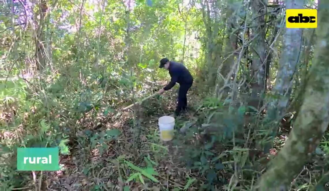 Background ABCTV JWP