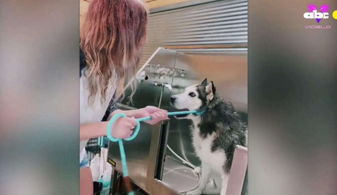 Background ABCTV JWP