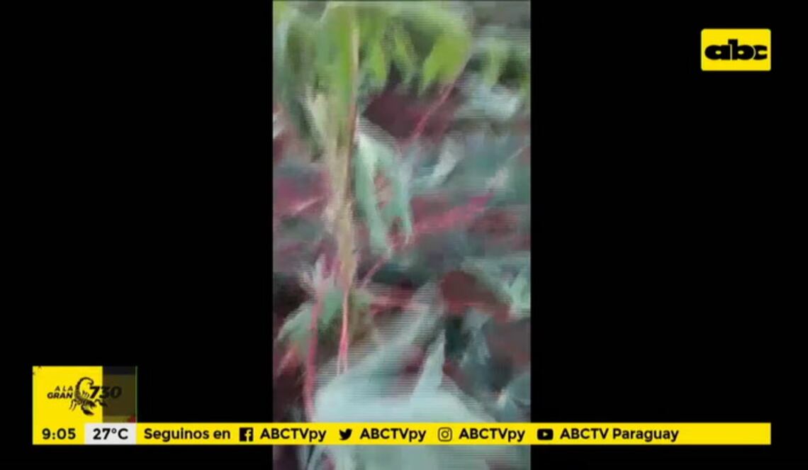 Background ABCTV JWP