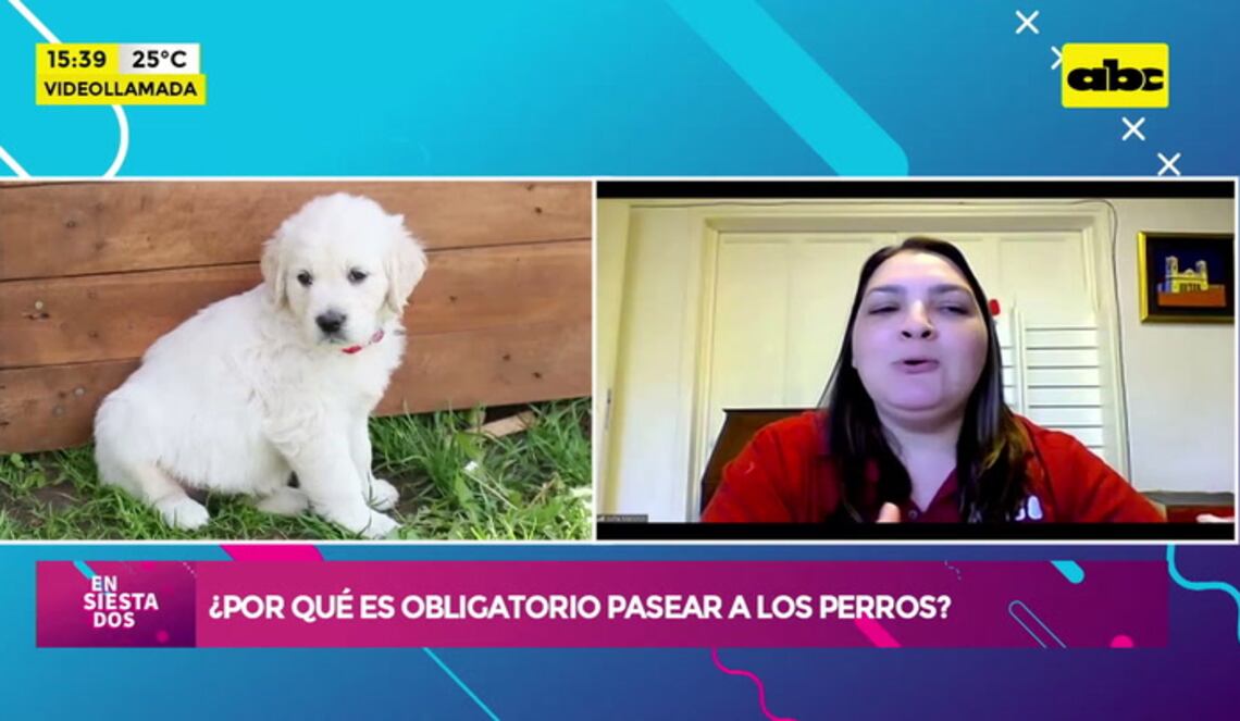 Background ABCTV JWP