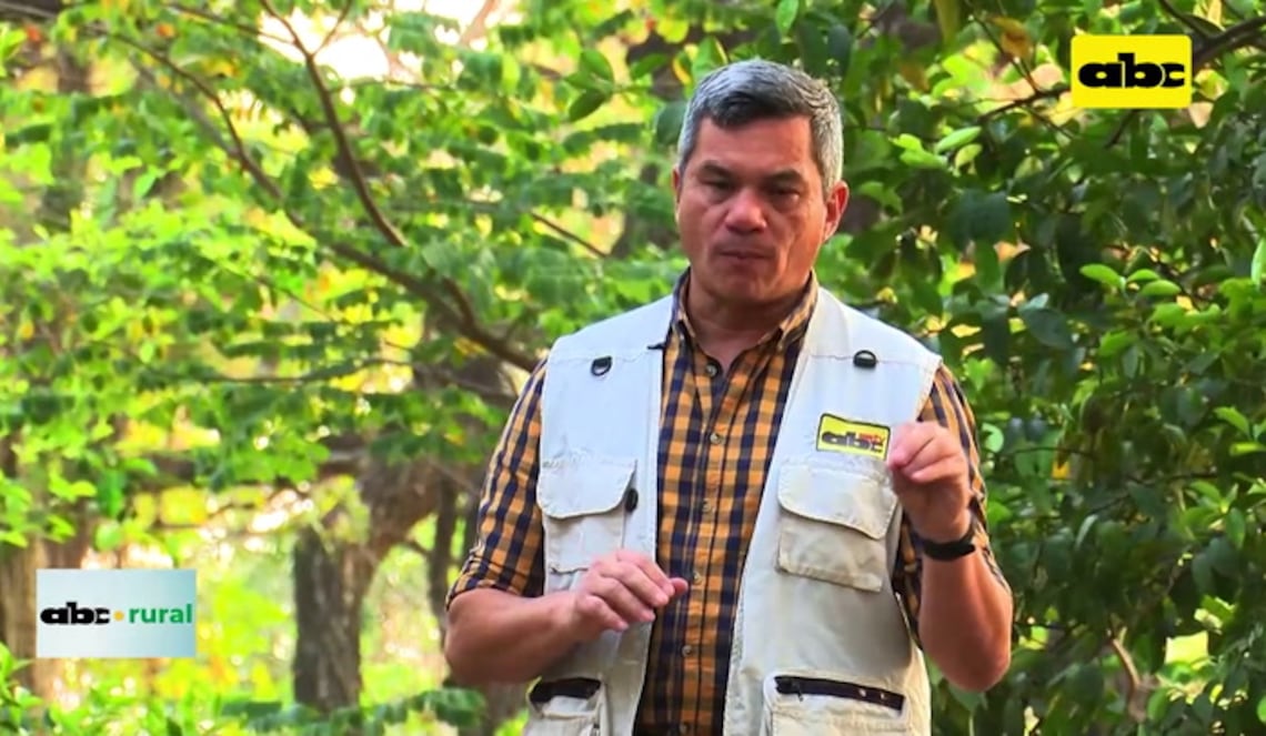 Background ABCTV JWP