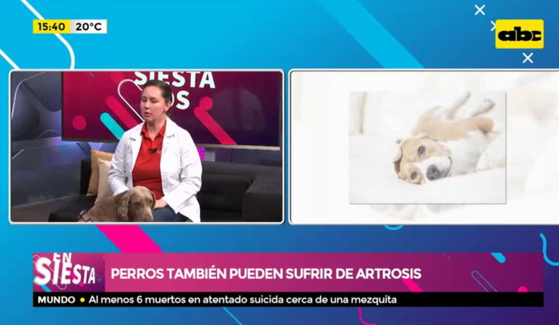 Background ABCTV JWP