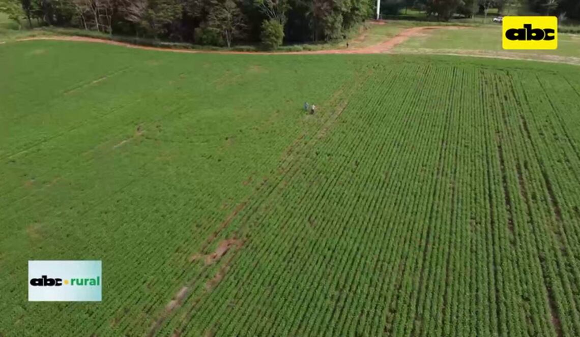 Background ABCTV JWP