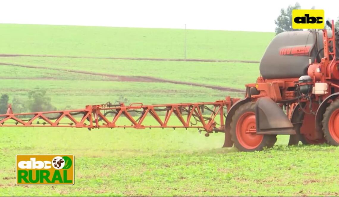 Background ABCTV JWP