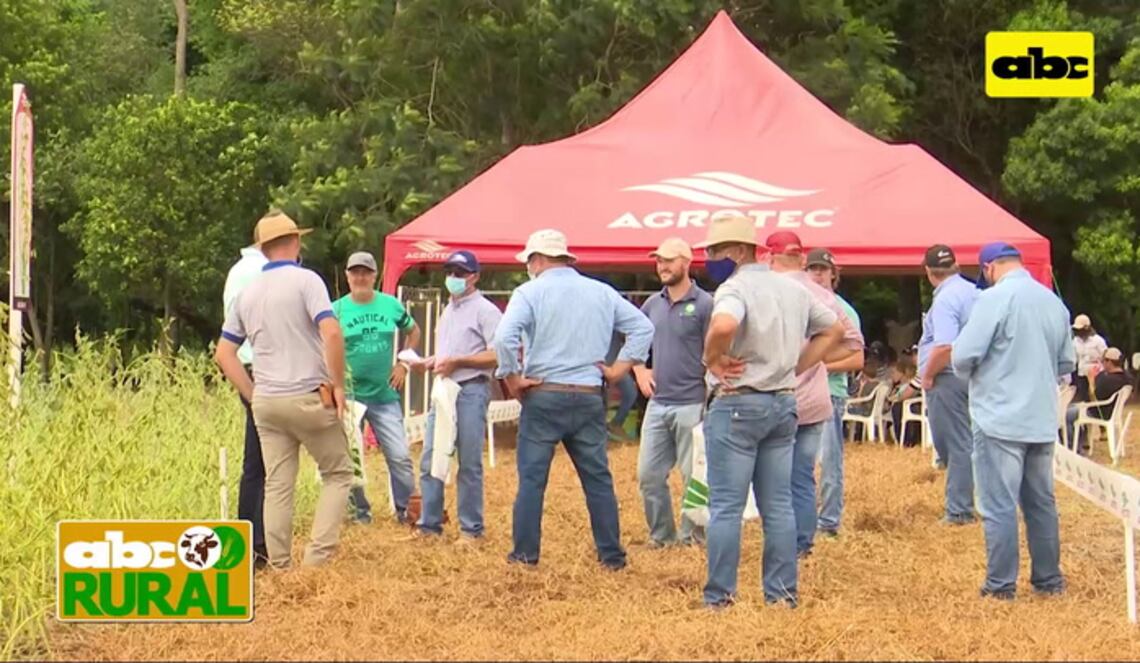 Background ABCTV JWP