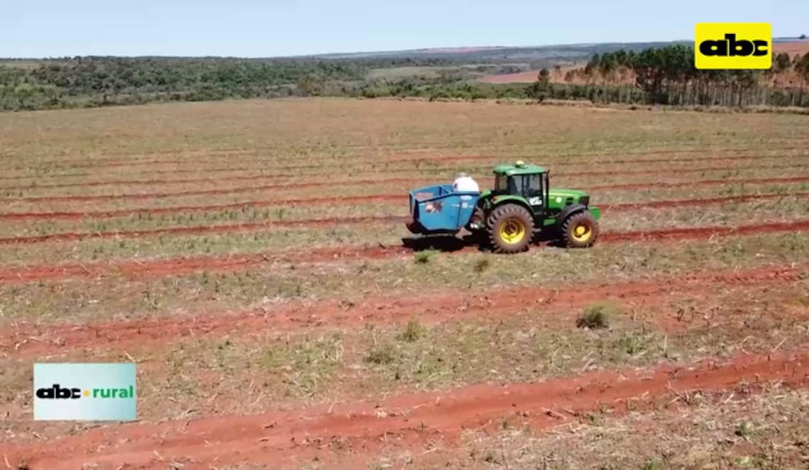 Background ABCTV JWP