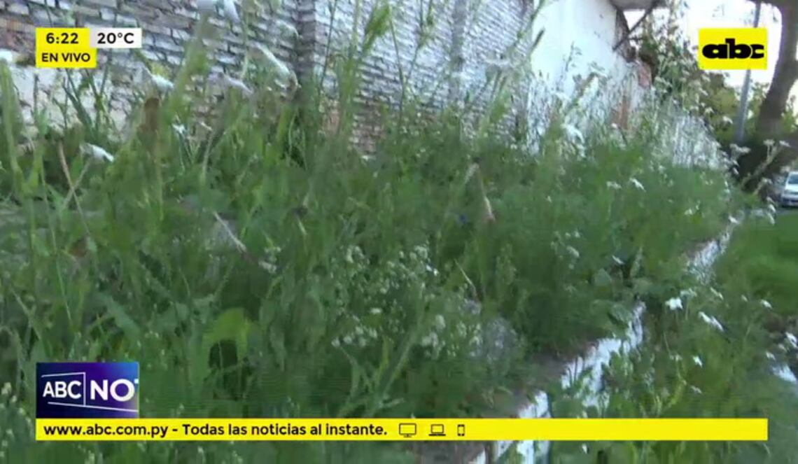 Background ABCTV JWP