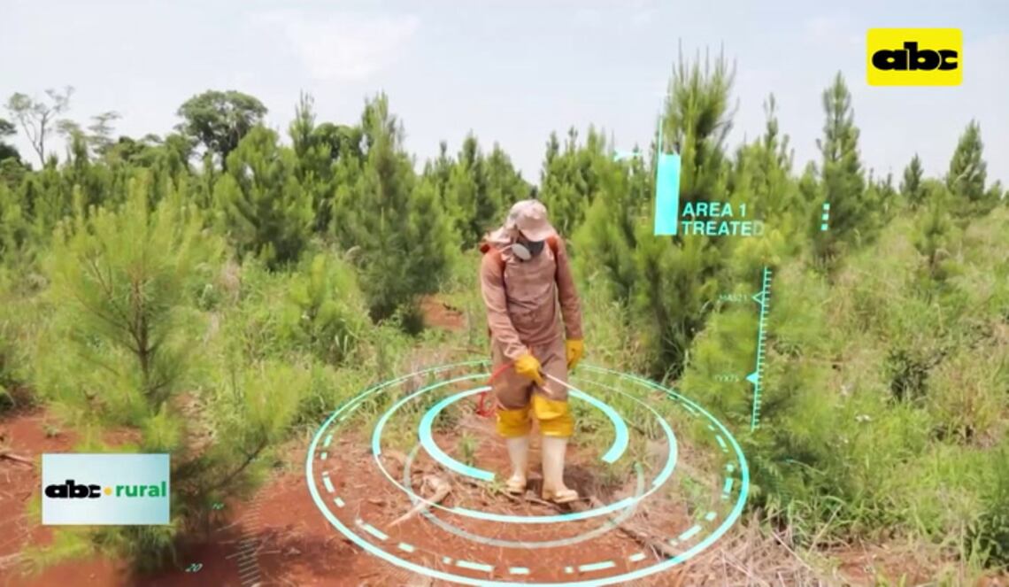 Background ABCTV JWP