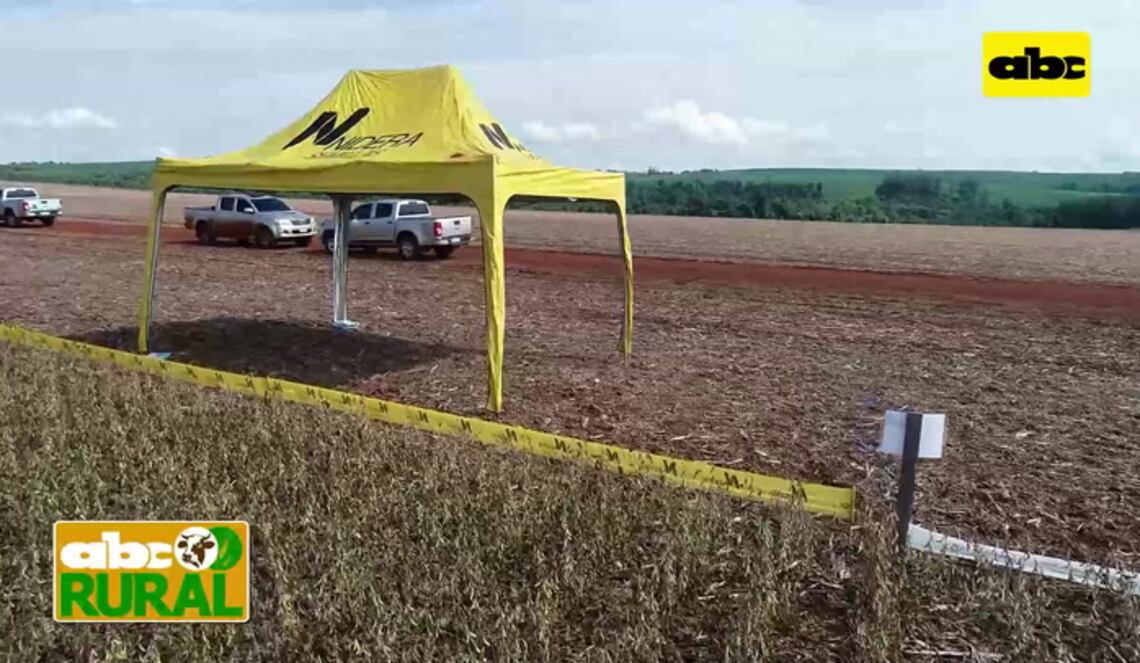 Background ABCTV JWP