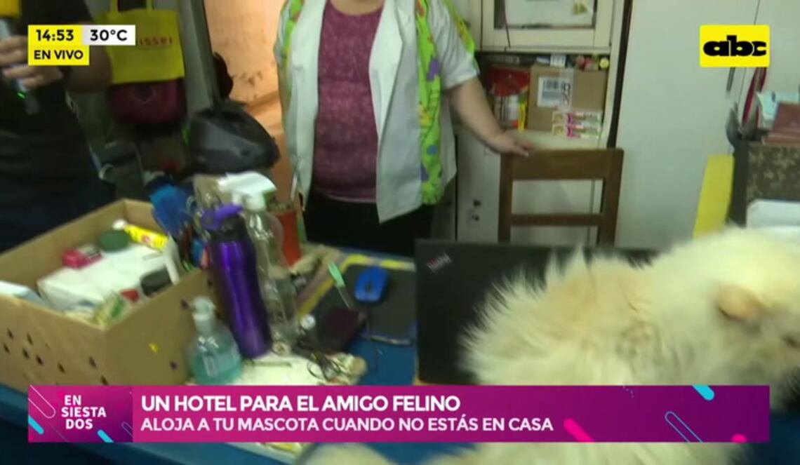 Background ABCTV JWP