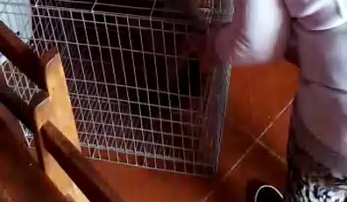 Background ABCTV JWP