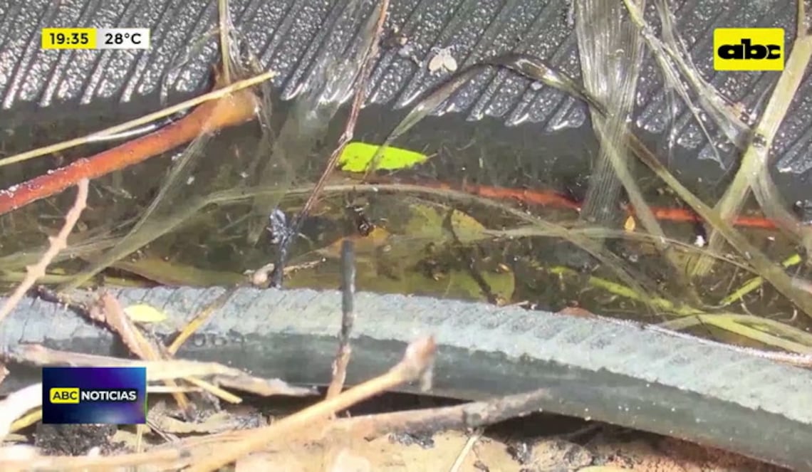 Background ABCTV JWP