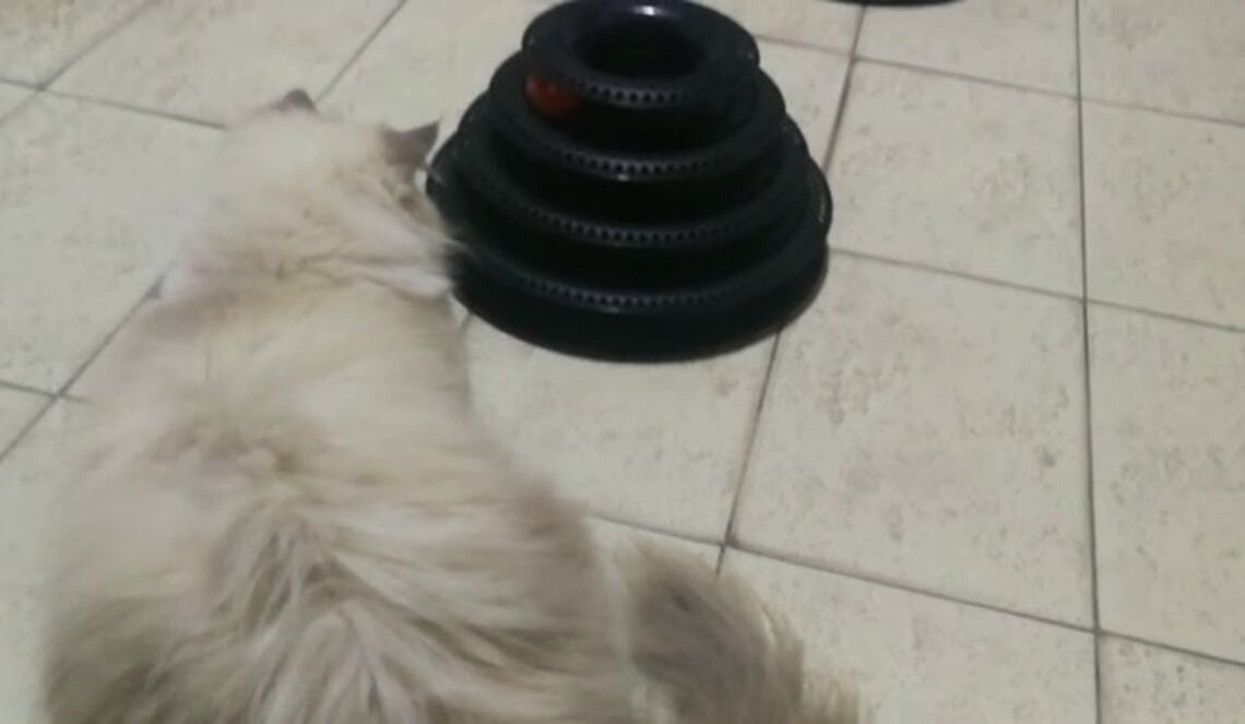 Background ABCTV JWP