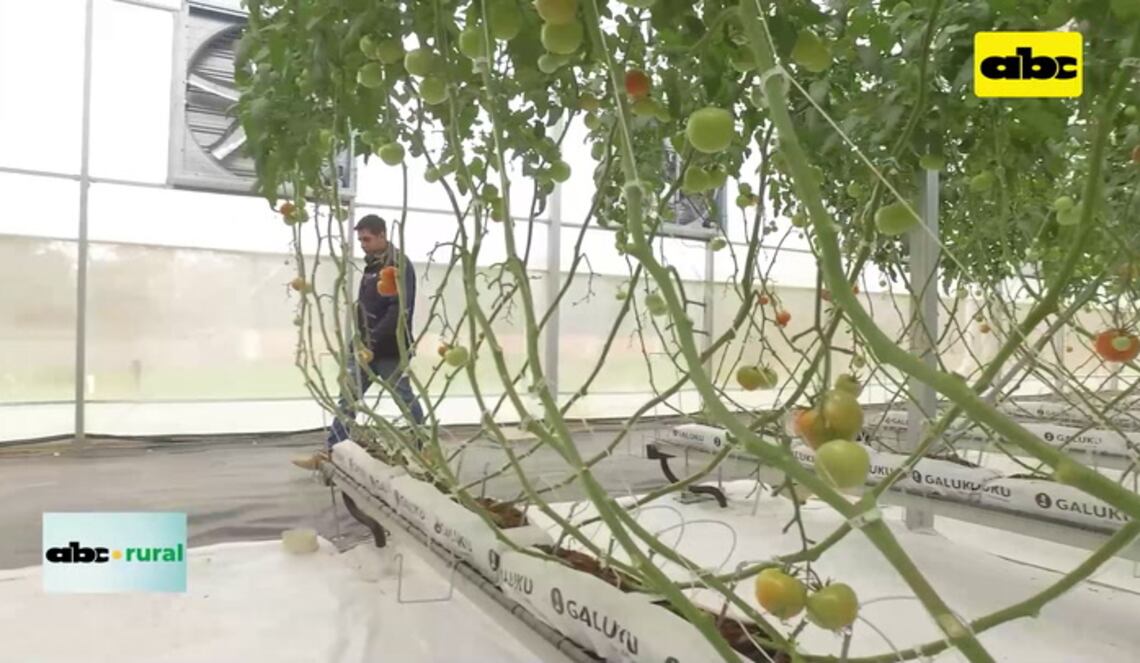 Background ABCTV JWP