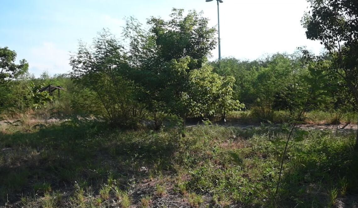 Background ABCTV JWP