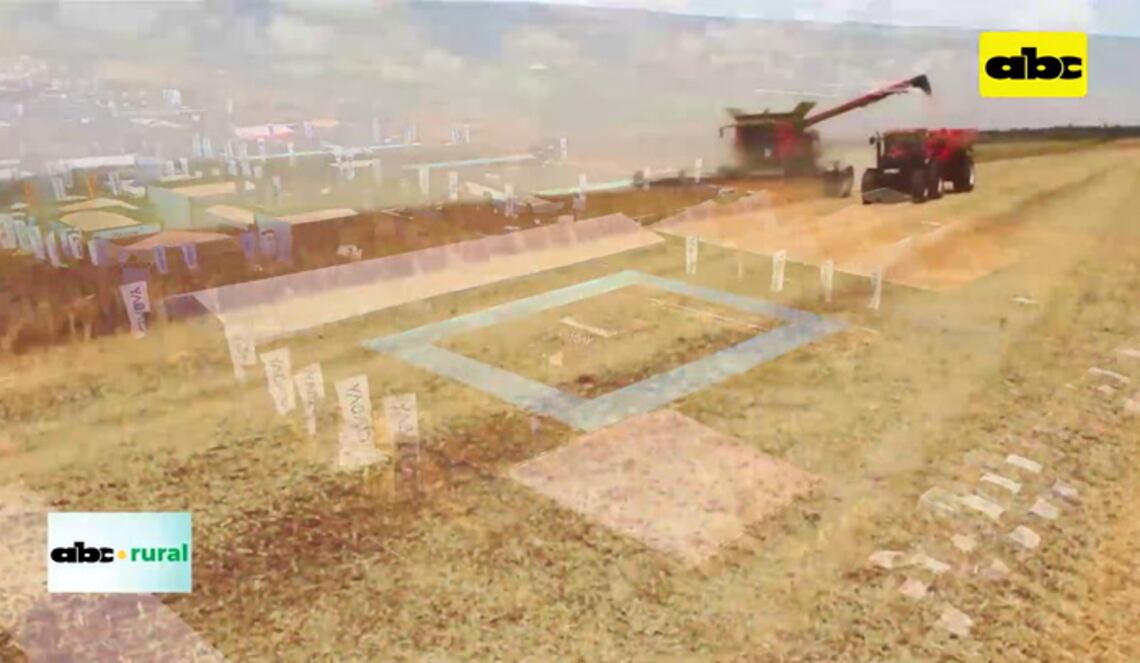 Background ABCTV JWP