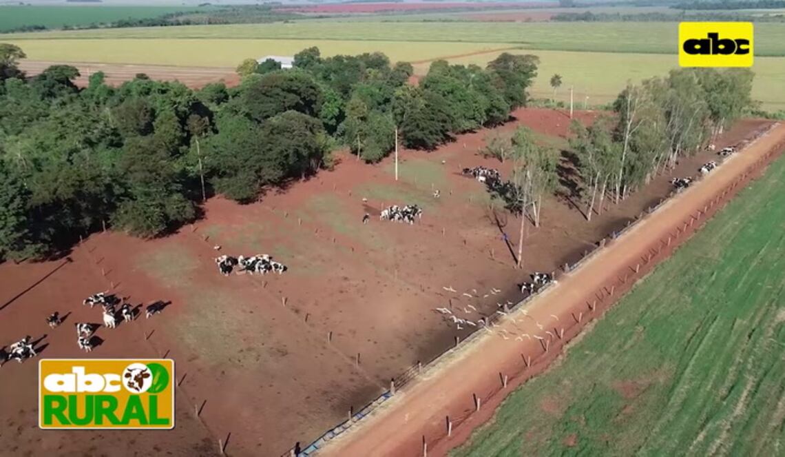 Background ABCTV JWP