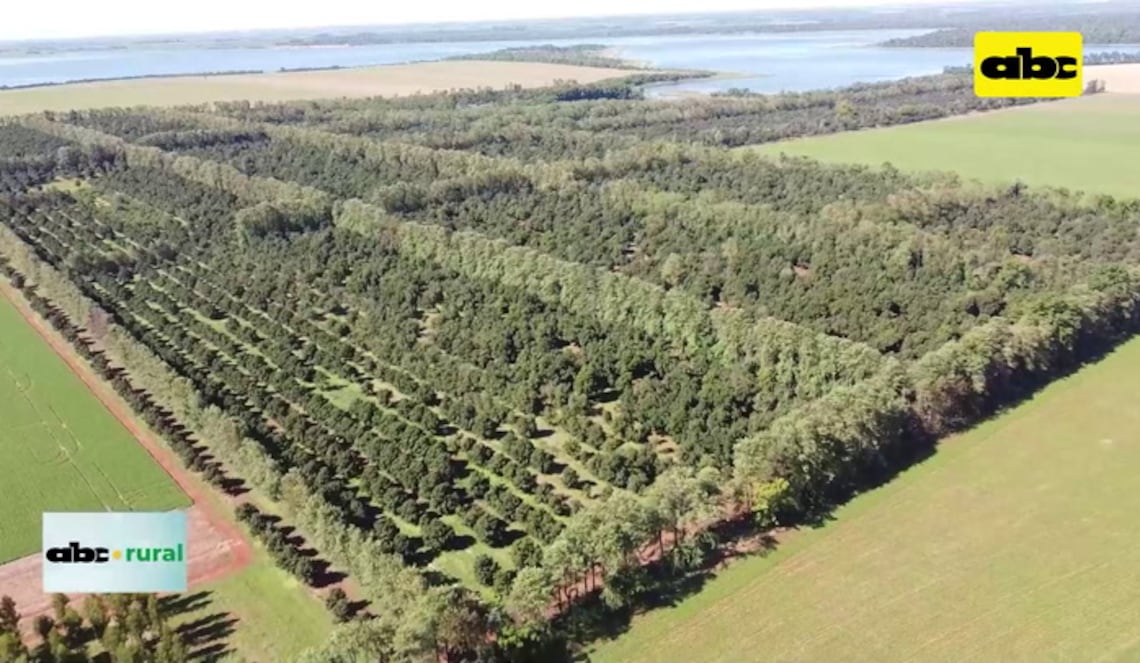 Background ABCTV JWP