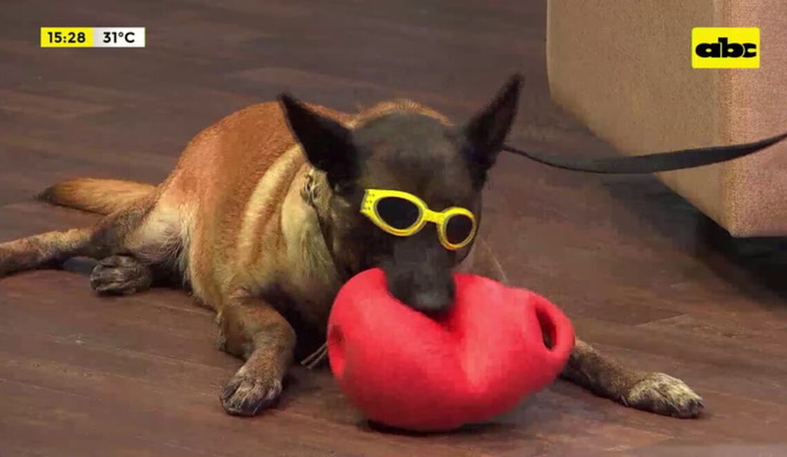 Background ABCTV JWP