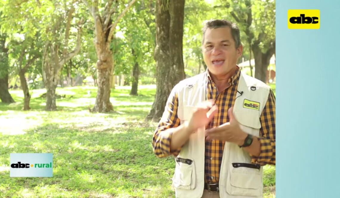 Background ABCTV JWP