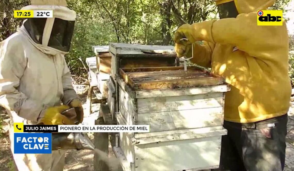 Background ABCTV JWP