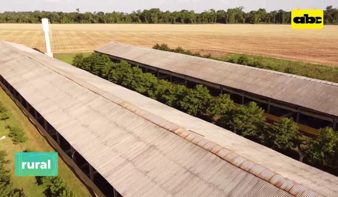 Background ABCTV JWP