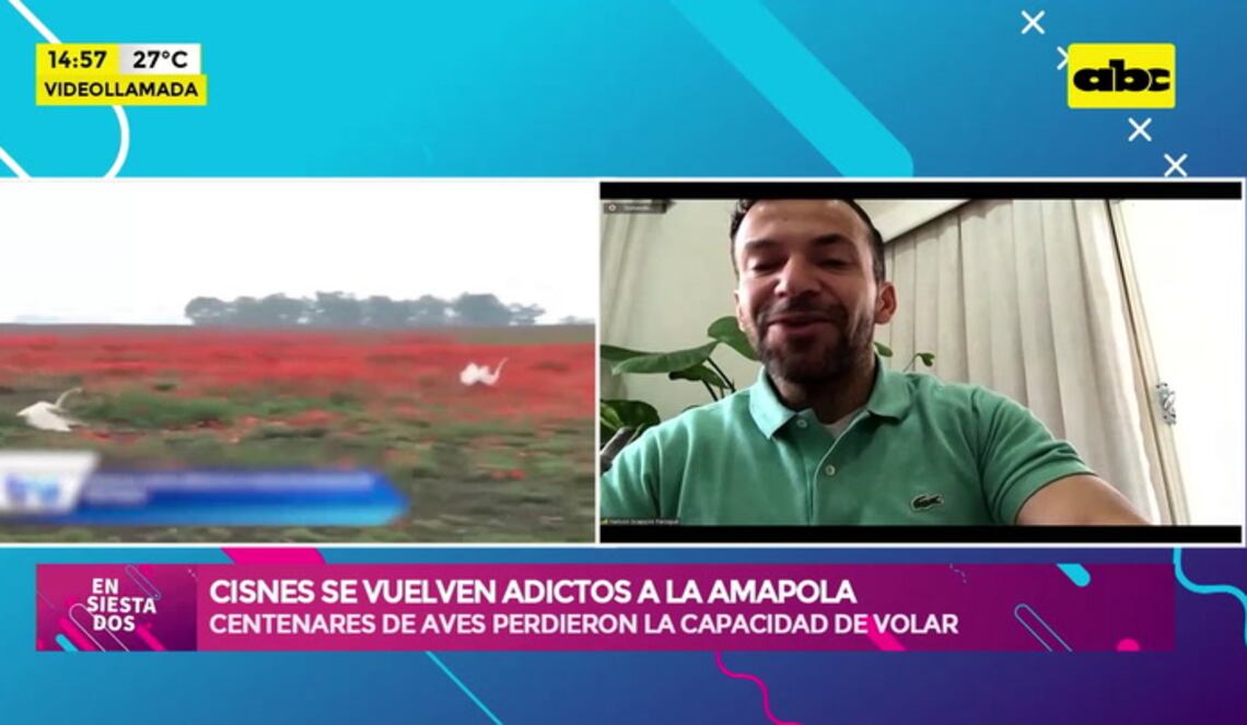 Background ABCTV JWP