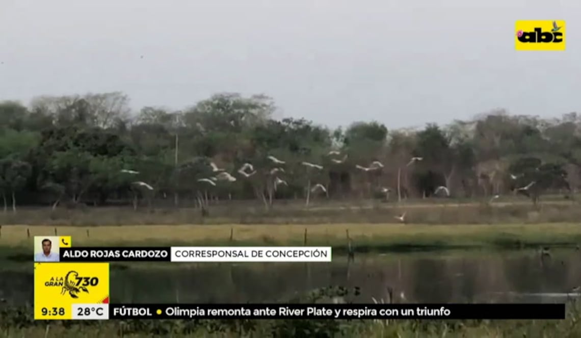 Background ABCTV JWP