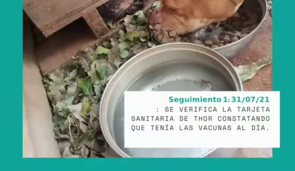 Background ABCTV JWP