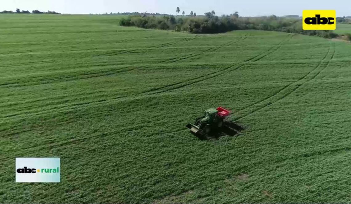 Background ABCTV JWP