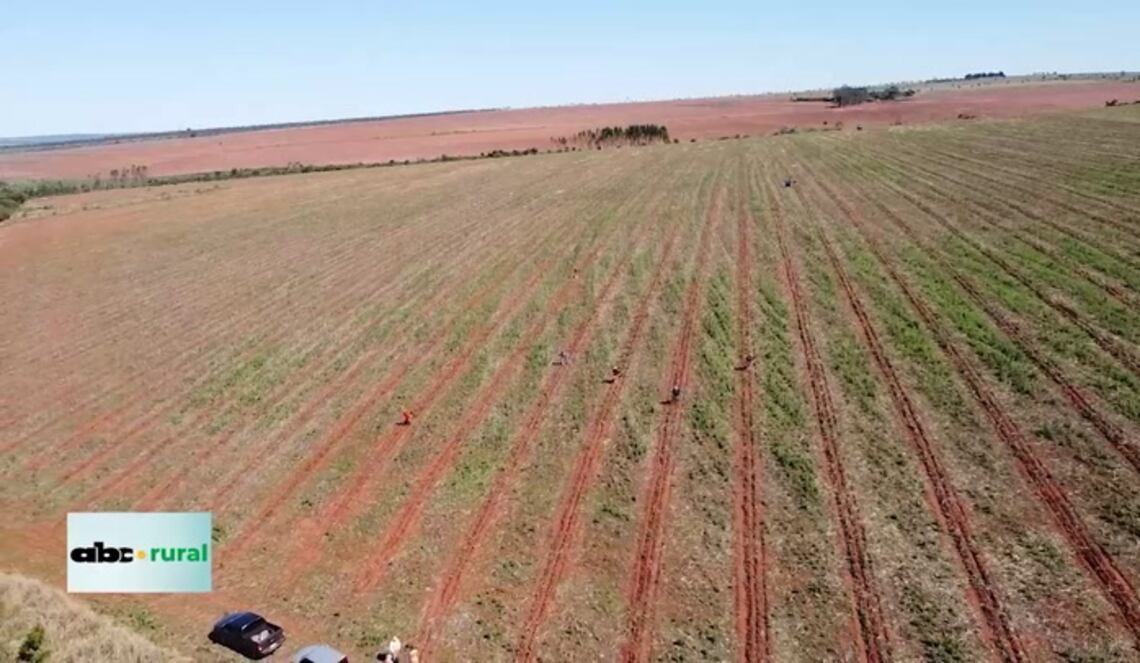 Background ABCTV JWP