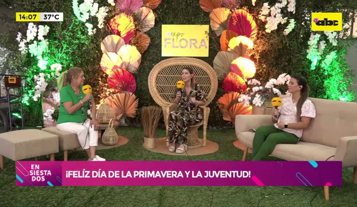 Background ABCTV JWP