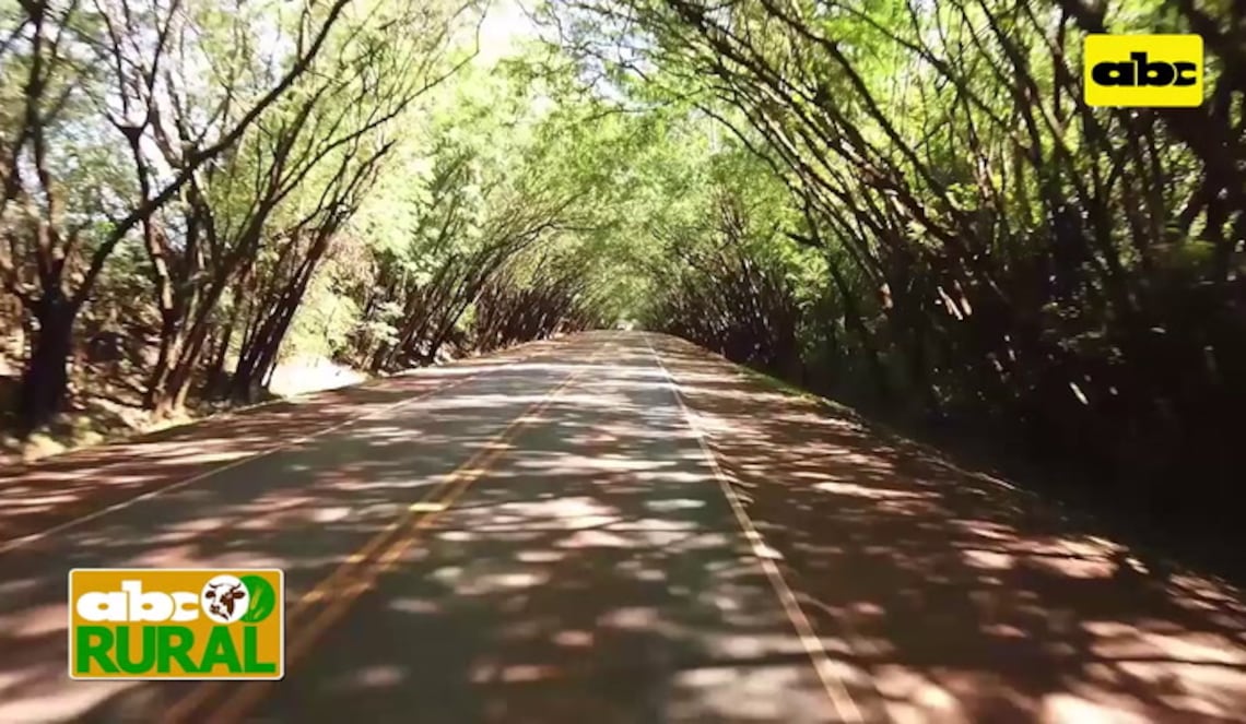 Background ABCTV JWP