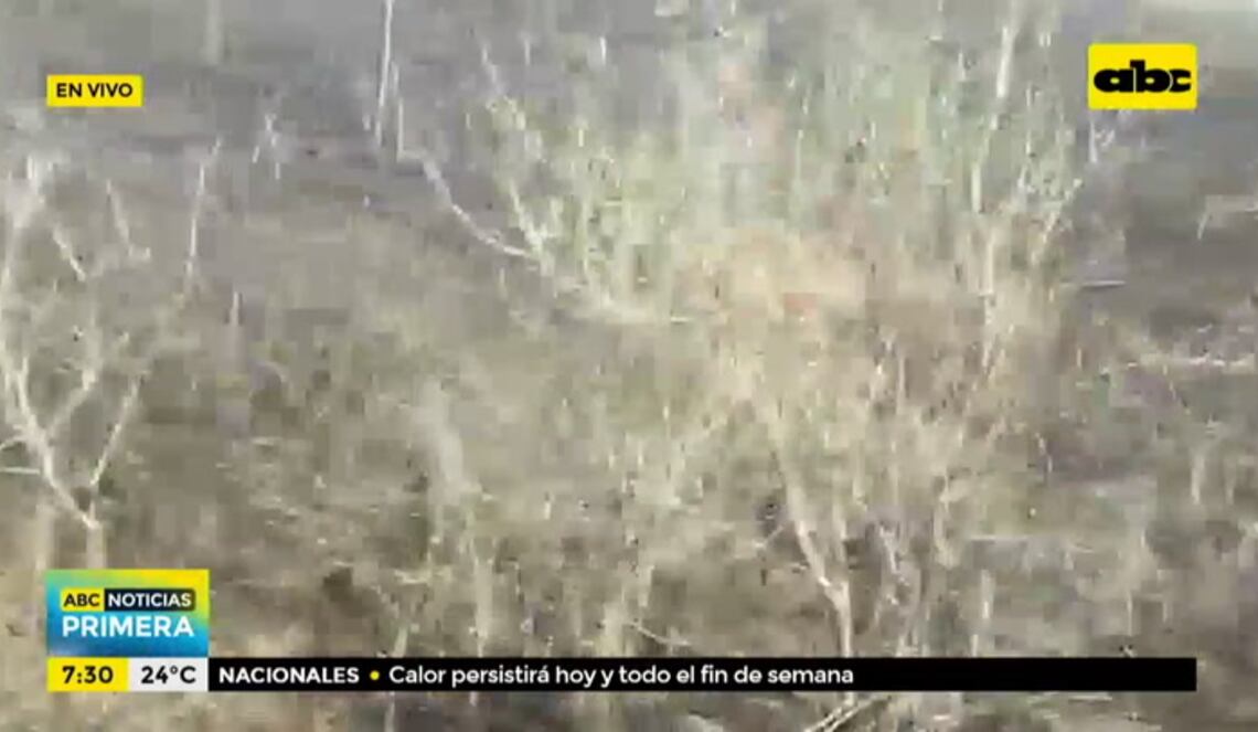 Background ABCTV JWP