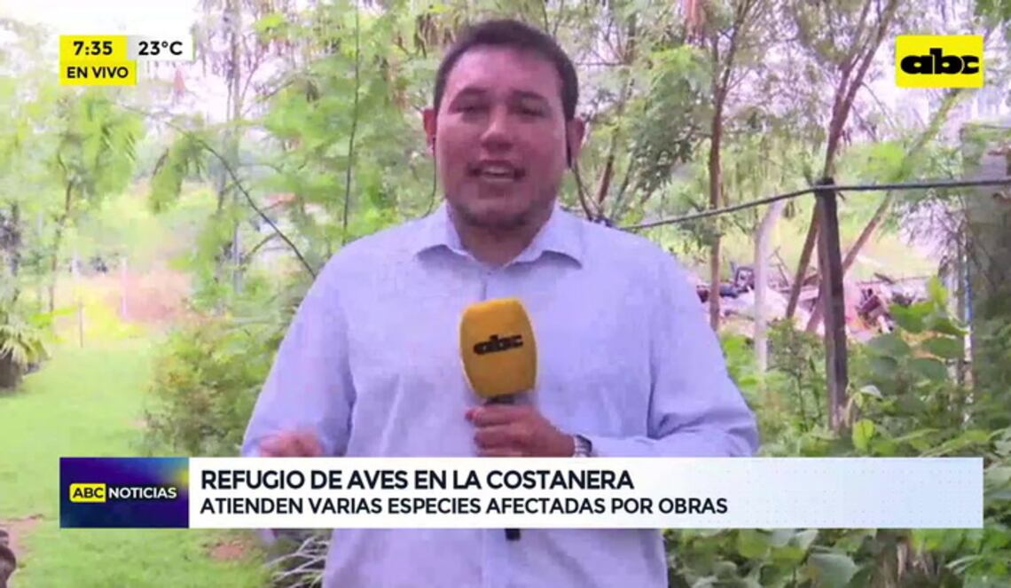 Background ABCTV JWP