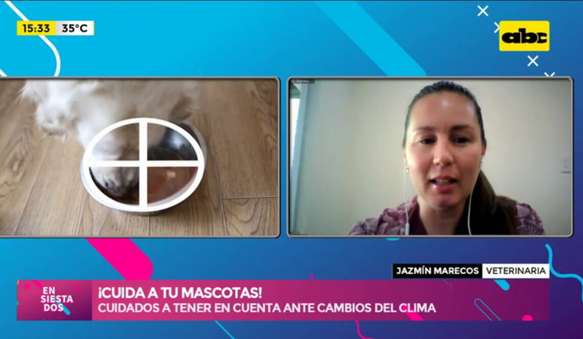 Background ABCTV JWP