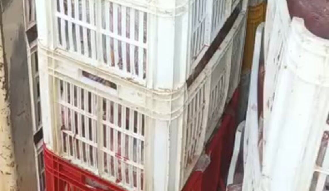 Background ABCTV JWP